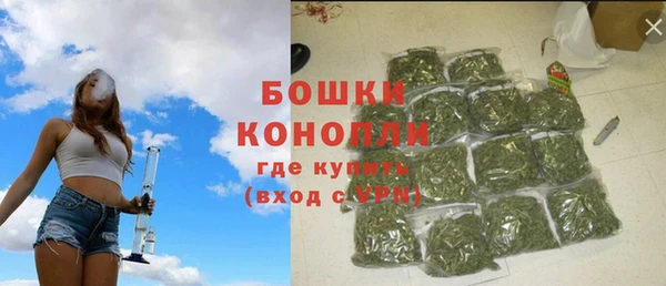 стаф Киренск