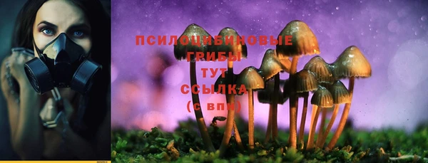 стаф Киренск