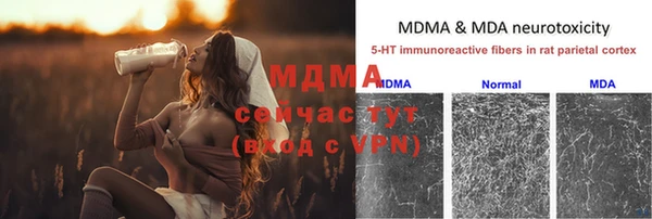 стаф Киренск