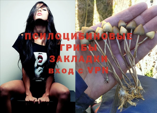 меф Кинешма