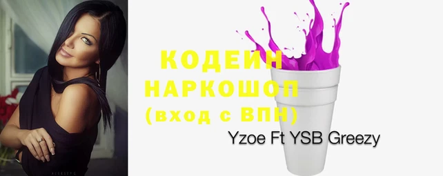 стаф Киренск