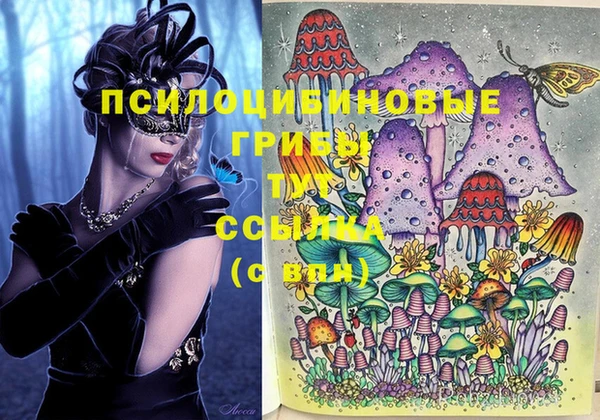 меф Кинешма