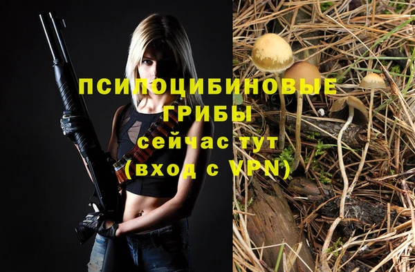 стаф Киренск